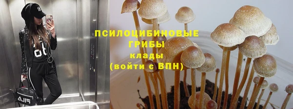 дмт Медногорск