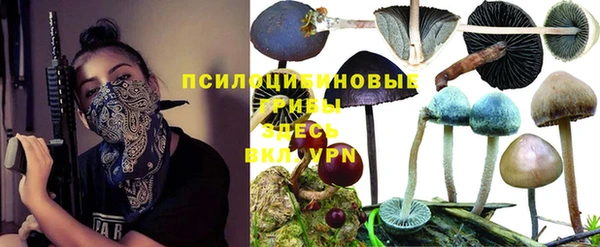 ешки Мегион