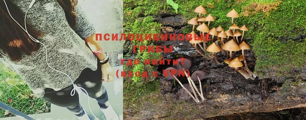 прущий лед Медвежьегорск